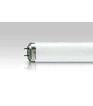 Žiarivka T5 G5 8W 6400K 30 cm