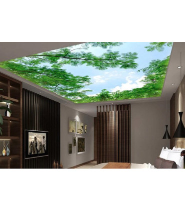 Napínaný strop s fototlačou